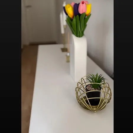 Bonsai *