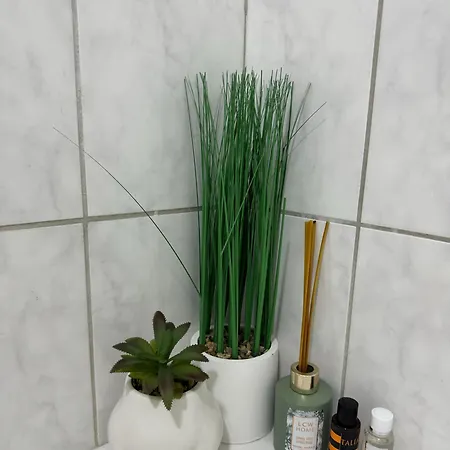 Bonsai * 特雷比涅